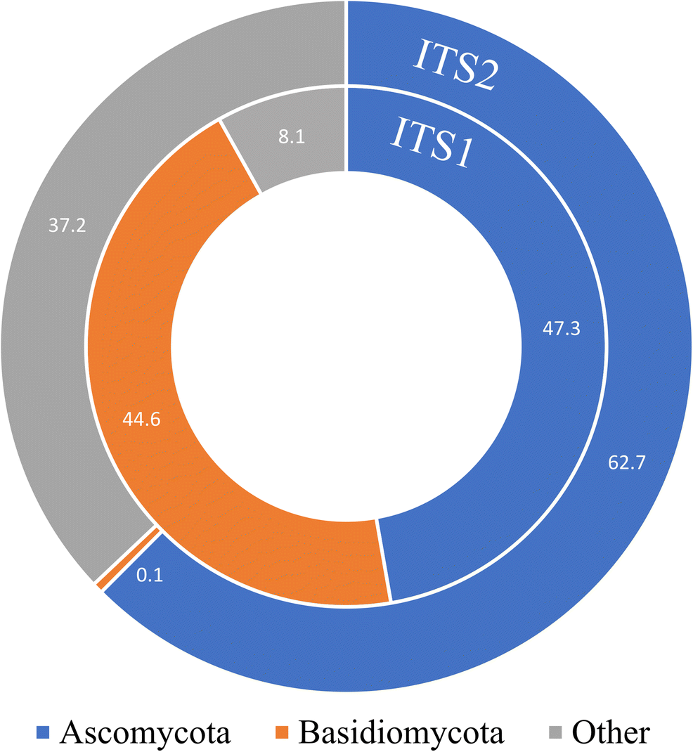WAAS Management Newsletter, image size:986x1070