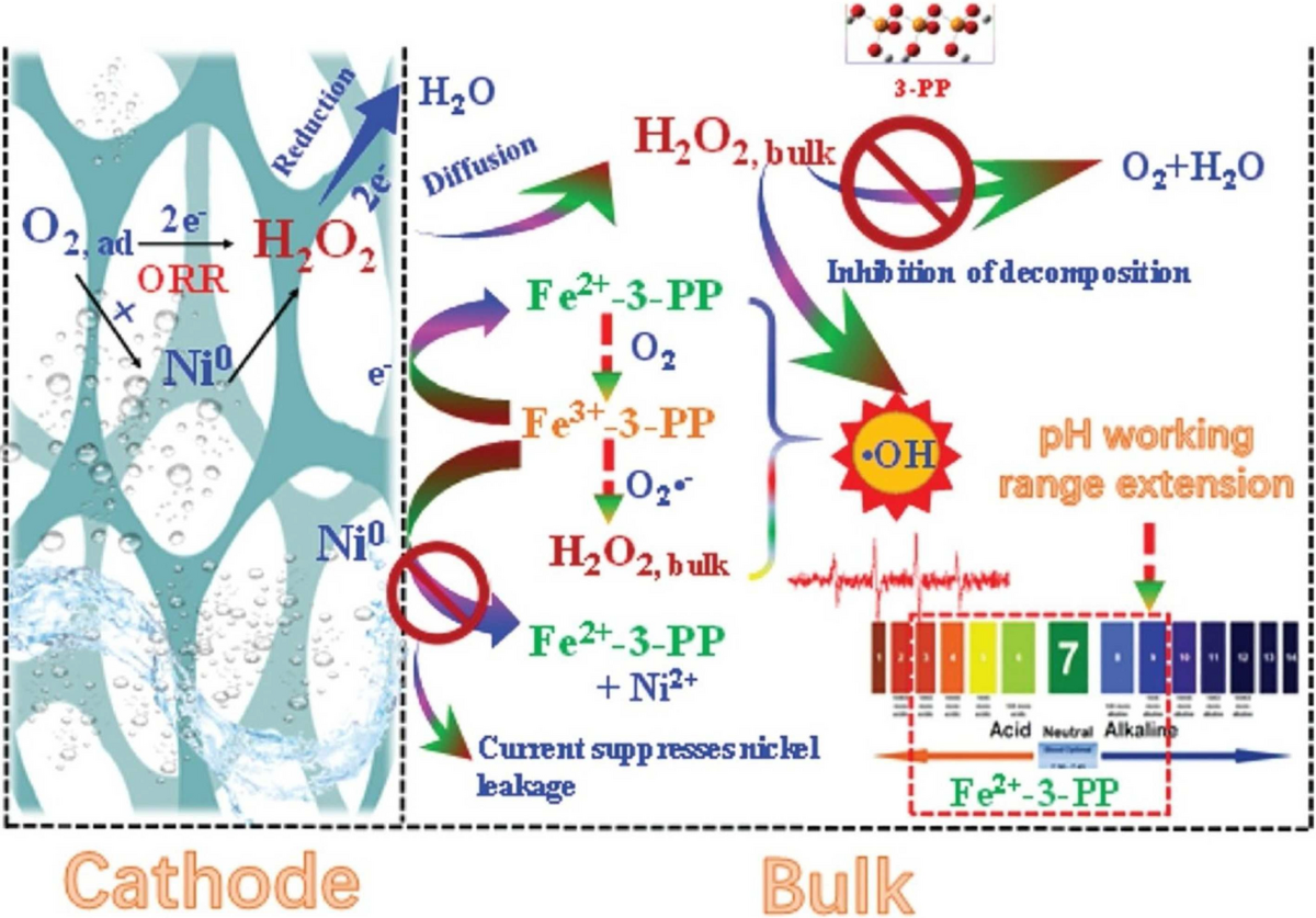 Application of Nickel Foam in Electrochemical Systems: A Review | Journal  of Electronic Materials | Springer Nature Link