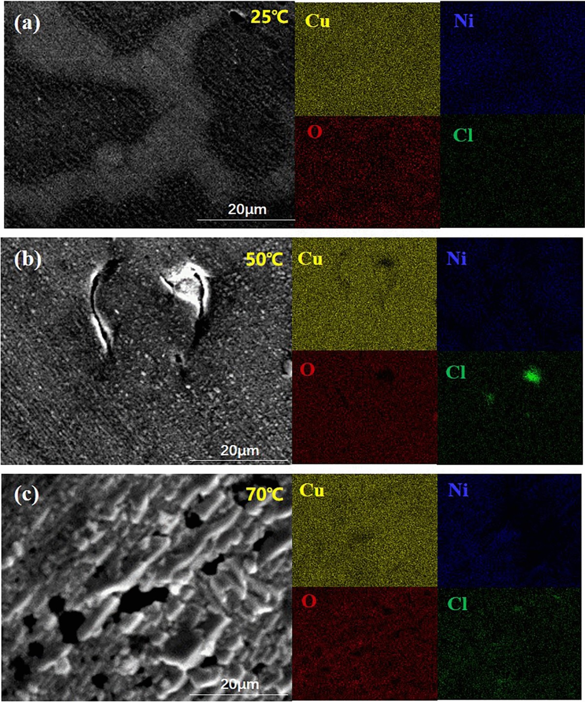 Electrochemical Behavior and Corrosion Mechanism of Copper Alloys in  Coastal Environment Via Al/Ni Doping Strategy | Journal of Materials  Engineering and Performance