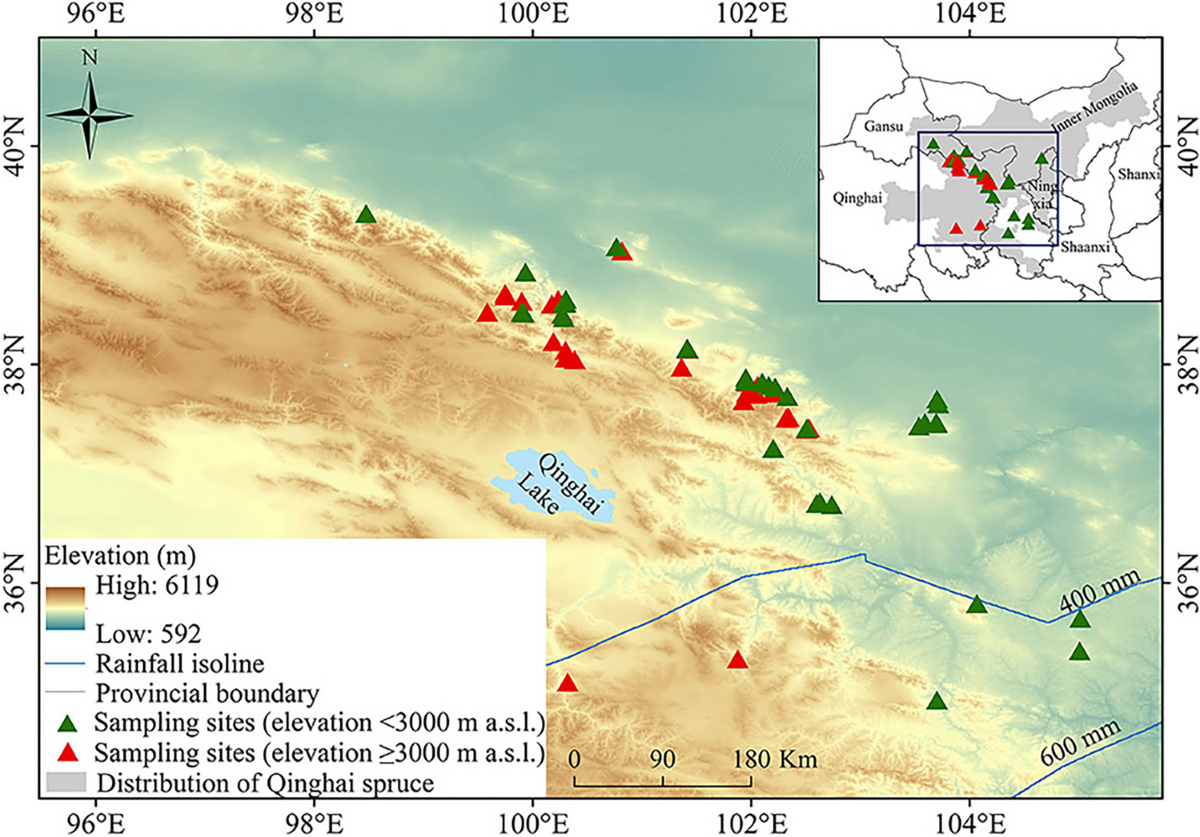 Meta-analysis of climate effects on radial growth of Qinghai spruce in  northwestern China | Journal of Forestry Research
