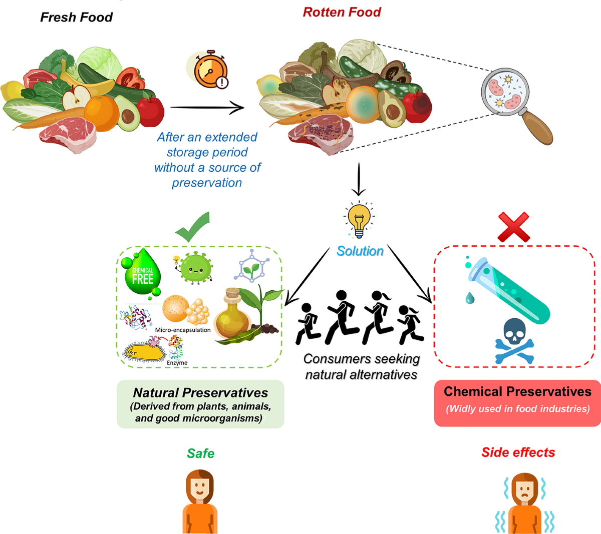 Zg 91-565458 in Food: Meaning, Safety & Uses Guide