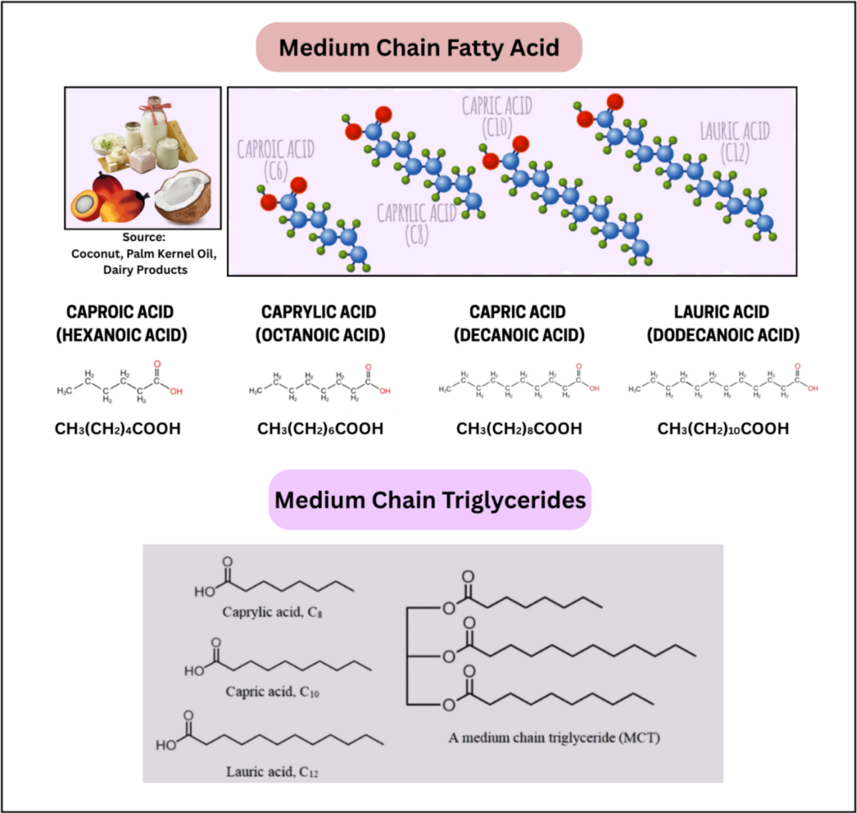 Harnessing naturally derived medium chain triglycerides as high value macronutrients: An integrated review of innovative separation and encapsulation technologies for cognitive health supplementation