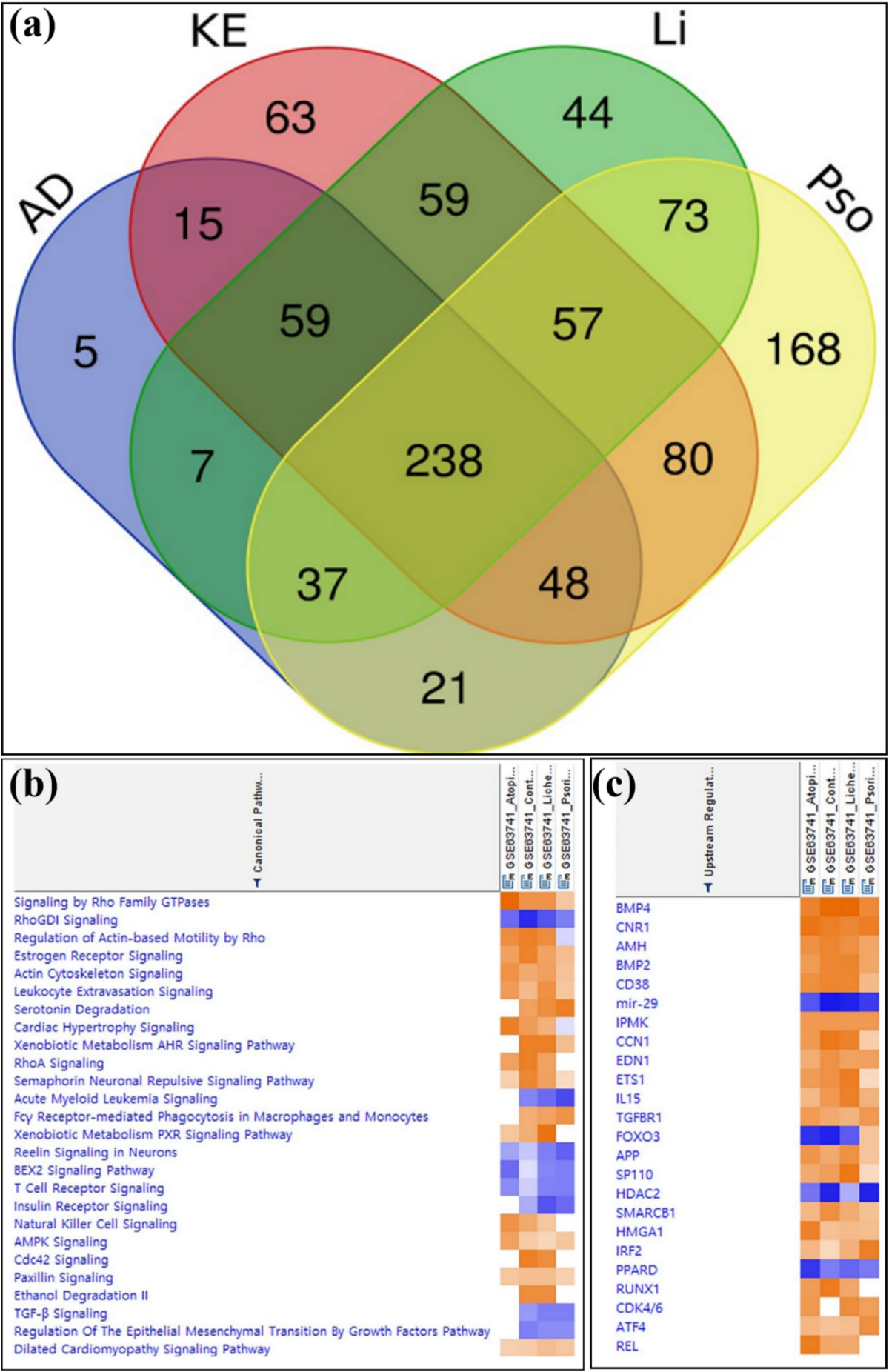 Multi-omics and AI-driven personalized precision skincare: from molecular mechanisms to industrial applications | Chemical Papers
