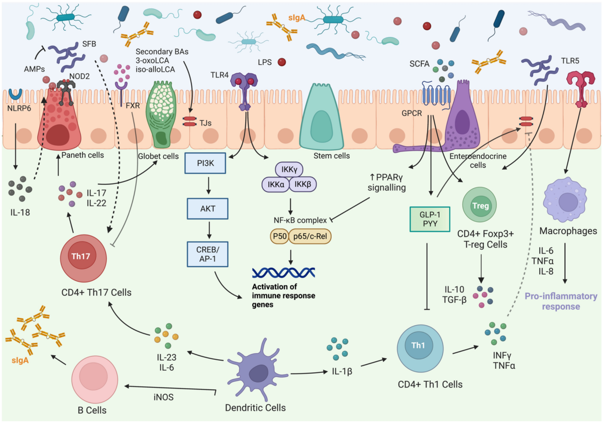 why do ghk cu injections hurt GHK-Cu Dosage and Protocol: A Medical Provider's Guide to the 30-Day Cycle