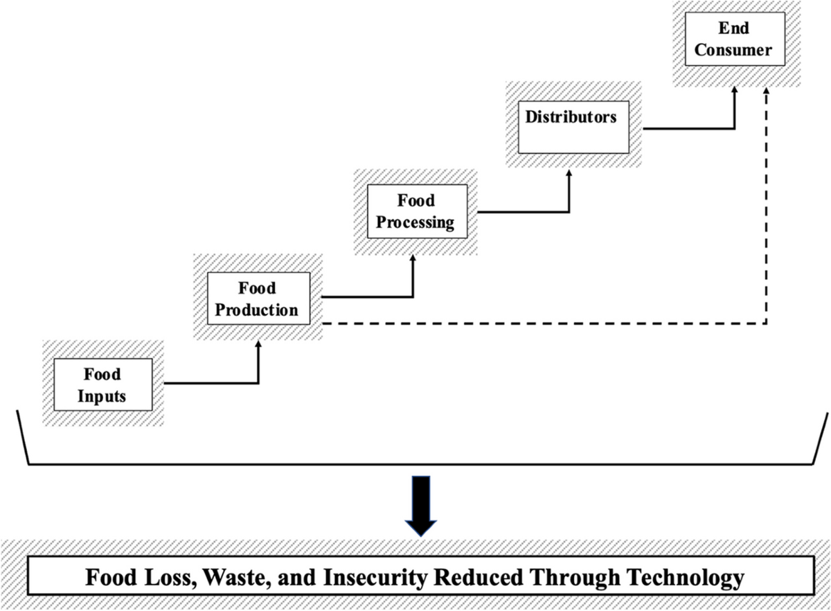 Advanced Fruit and Vegetable Processing Equipment Explained, image size:1200x882