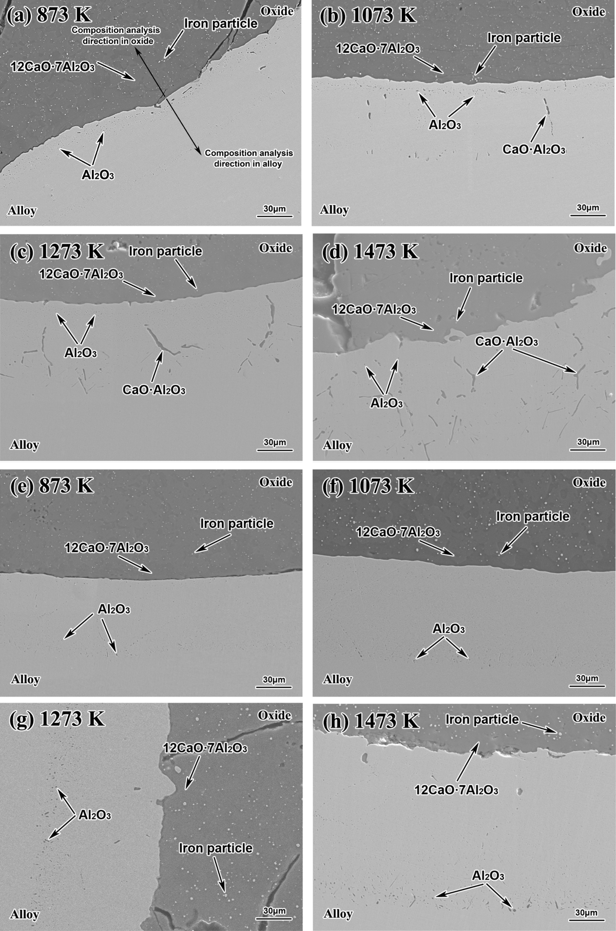 tokyo hot e873 Effect of Isothermal Heating Temperature on the Interfacial Reactions  Between Fe-Al-Ca Alloy and Al2O3-CaO-FeO Oxide | JOM