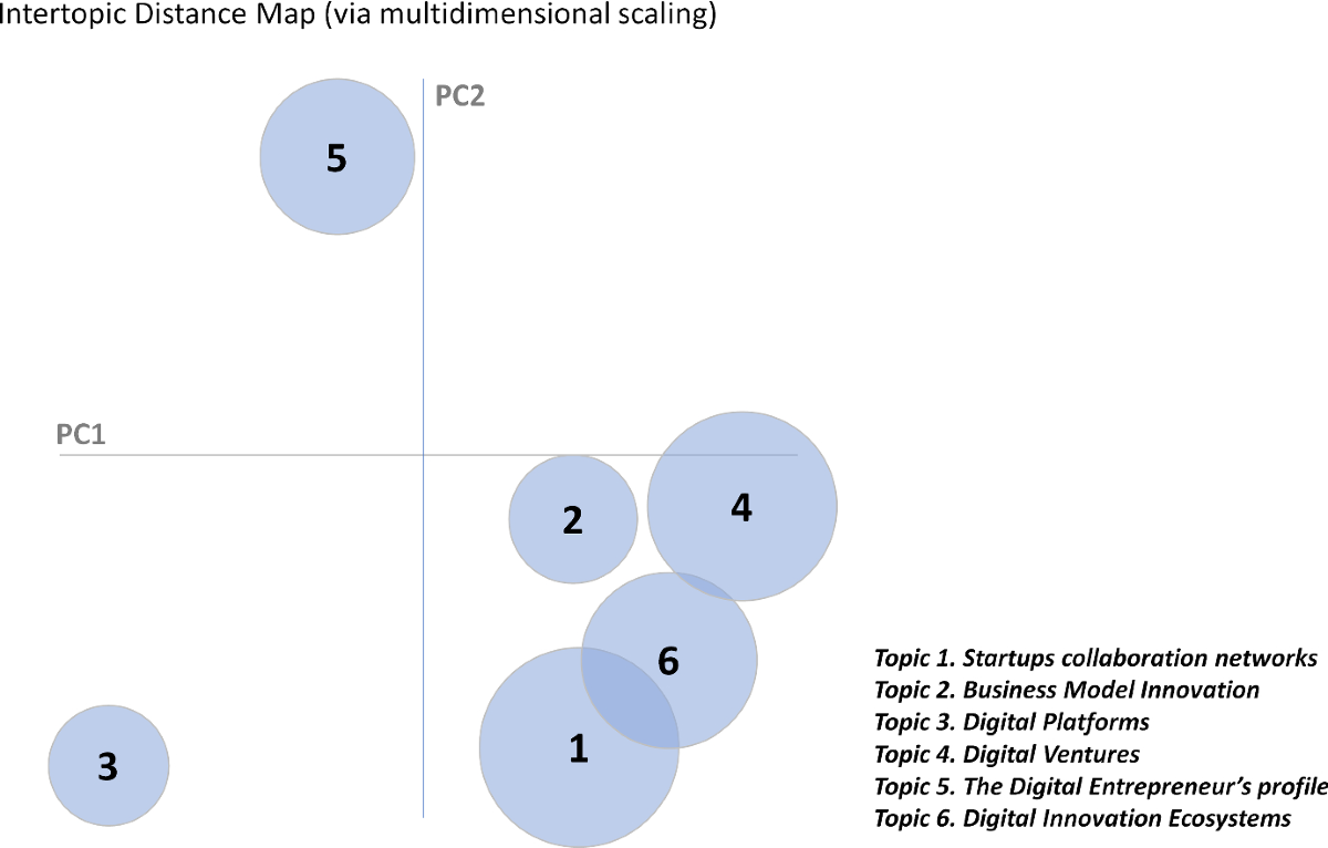 Digital innovation in entrepreneurial firms: a systematic