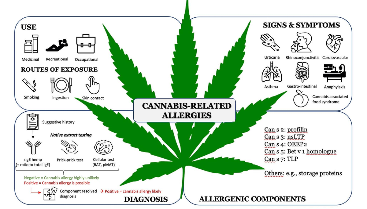 why do plants with tobacco mosaic virus grow slowly Stop Tobacco Mosaic Virus On Marijuana Plants Now!