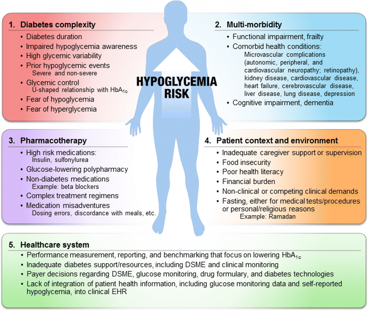 Diabetes Mellitus: Understanding Hypoglycemia