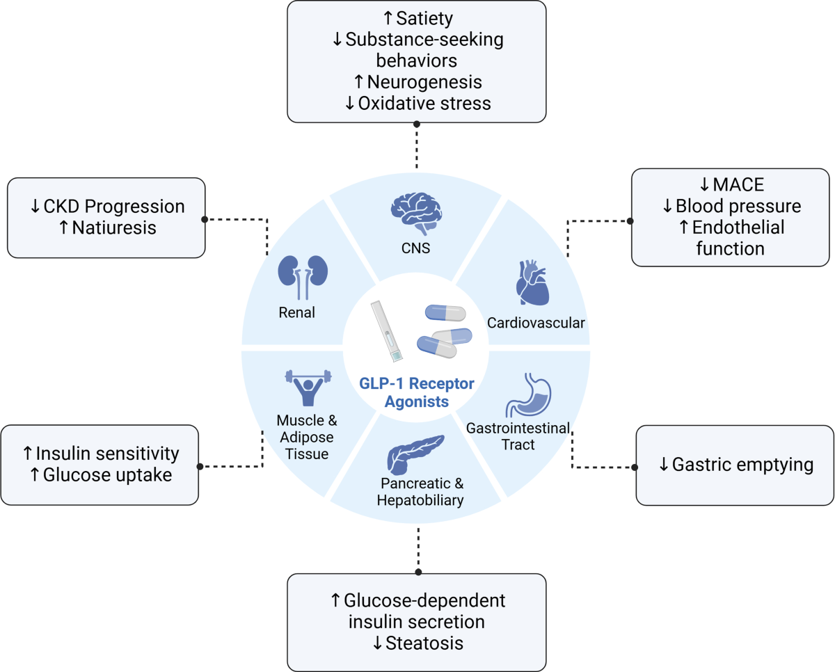 Gastrointestinal Motility Effects of GLP-1 Receptor Agonists | Current  Gastroenterology Reports