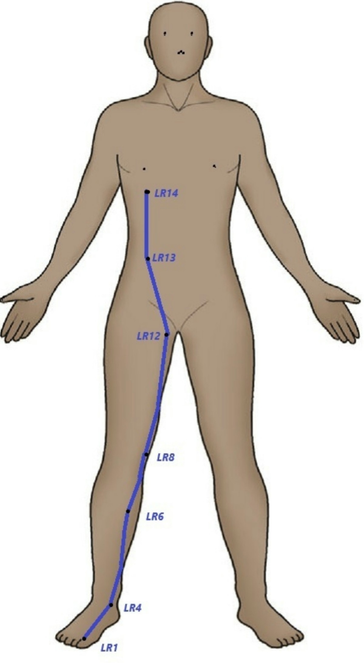 acupuncture glutathione The Liver in View of | Current Hepatology Reports Testis glutathione (GSH) levels at