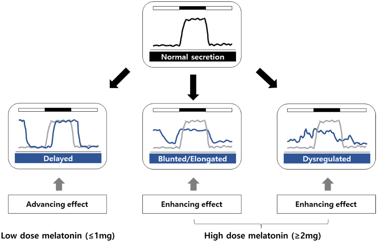 epithalon dosage and cycle Epitalon Peptide epithalon dosage and cycle Epitalon Peptide