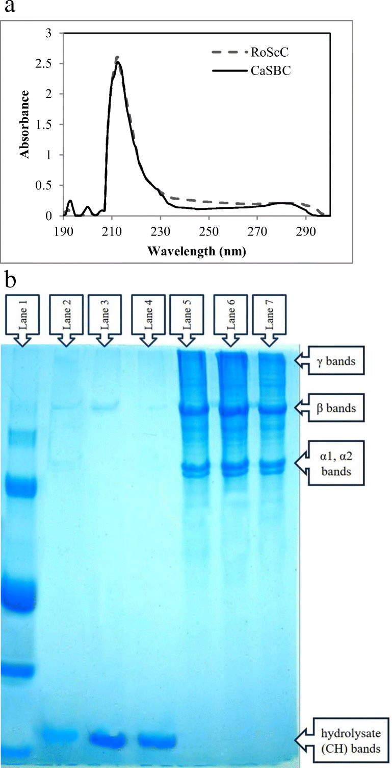 Contribution of Quasifibrillar Properties of Collagen Hydrolysates Towards Lowering of Interface Tension in Emulsion-Based Food Leading to Shelf-Life Enhancement | Food and Bioprocess Technology contribution-of-quasifibrillar-properties-of-collagen-hydrolysates-towards-lowering-of-interface-tension-in-emulsion-based-food-leading-to-shelf-life-enhancement-food-and-bioprocess-technology