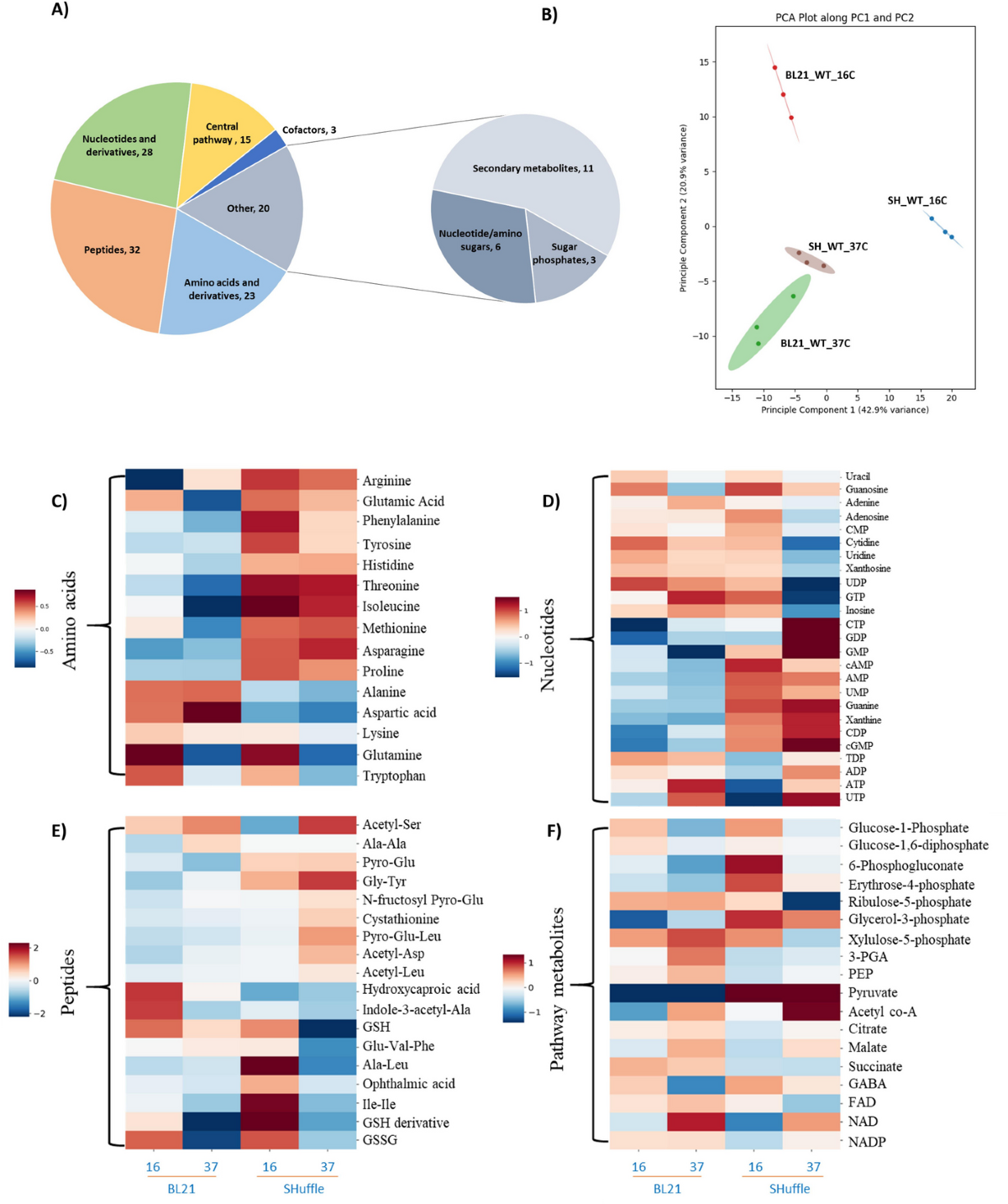 Effect of Thioredoxin Tag, Oxidizing Environment, and Temperature on the  Global Metabolome of E. Coli Strains | Applied Biochemistry and  Biotechnology