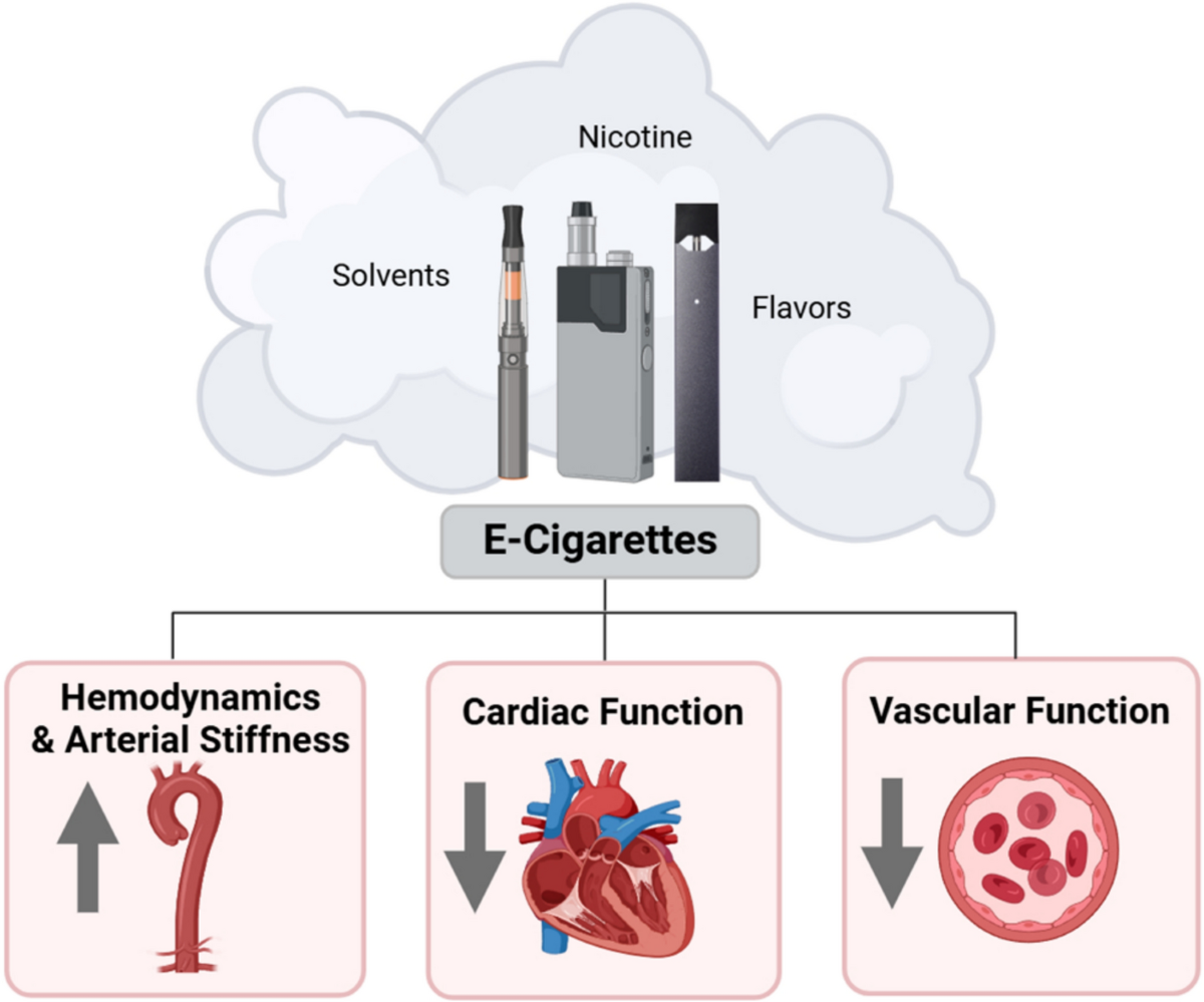 Exploring the Impact of E-cigarettes on Cardiovascular Health: Insights from Preclinical and Clinical Studies | Cardiovascular Toxicology | Springer Nature Link Exploring the Impact of E-cigarettes on Cardiovascular Health: Insights from Preclinical and Clinical Studies | Cardiovascular Toxicology | Springer Nature Link