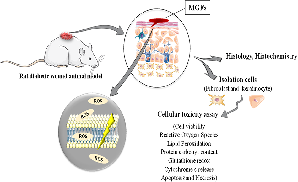 stacking cjc 1295 ipamorelin and tesamorelin can i stack ipamorelin and tesamorelin What Is CJC-1295 Hormone Release?