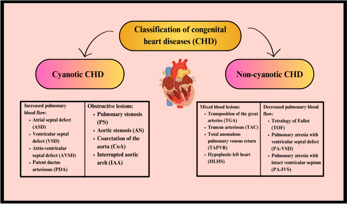 Advancing Congenital Heart Defect Treatments: Synergistic Approaches with  Stem Cells and Functional Scaffolds | Stem Cell Reviews and Reports, image size:1200x705