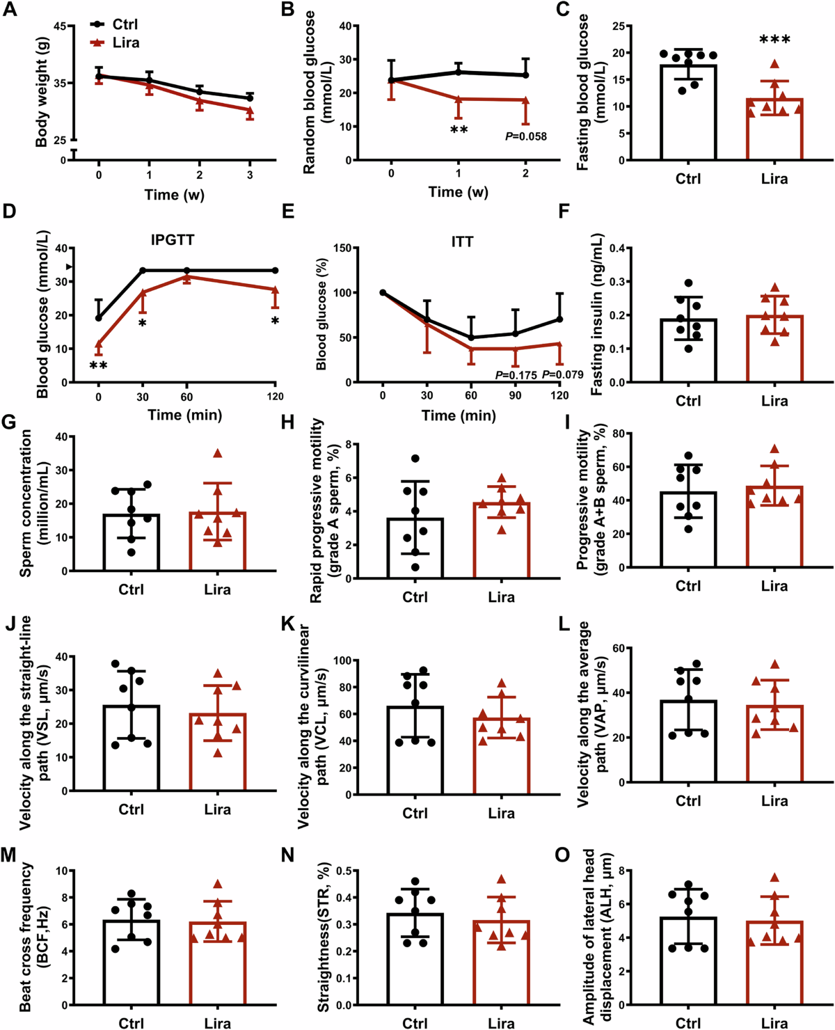 if you stop.taking glp 1 does the weight come.back Does Stopping Ozempic Cause Rebound Weight Gain and Health Problems?