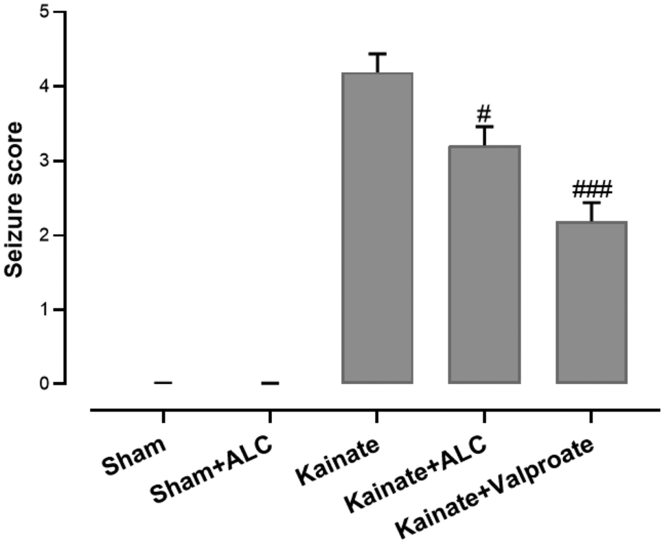 Acetyl-L-Carnitine Exerts Neuroprotective and Anticonvulsant Effect in  Kainate Murine Model of Temporal Lobe Epilepsy | Journal of Molecular  Neuroscience | Springer Nature Link