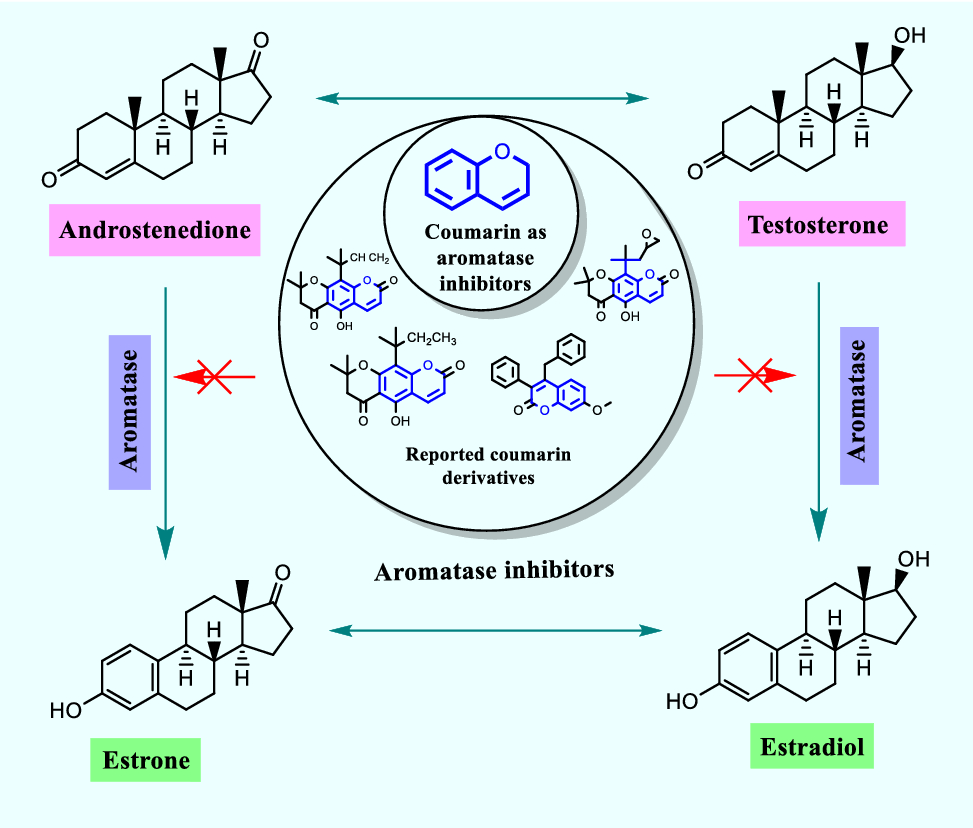 Medicinal chemistry aspects and synthetic strategies of coumarin as aromatase inhibitors: an overview | Medical Oncology