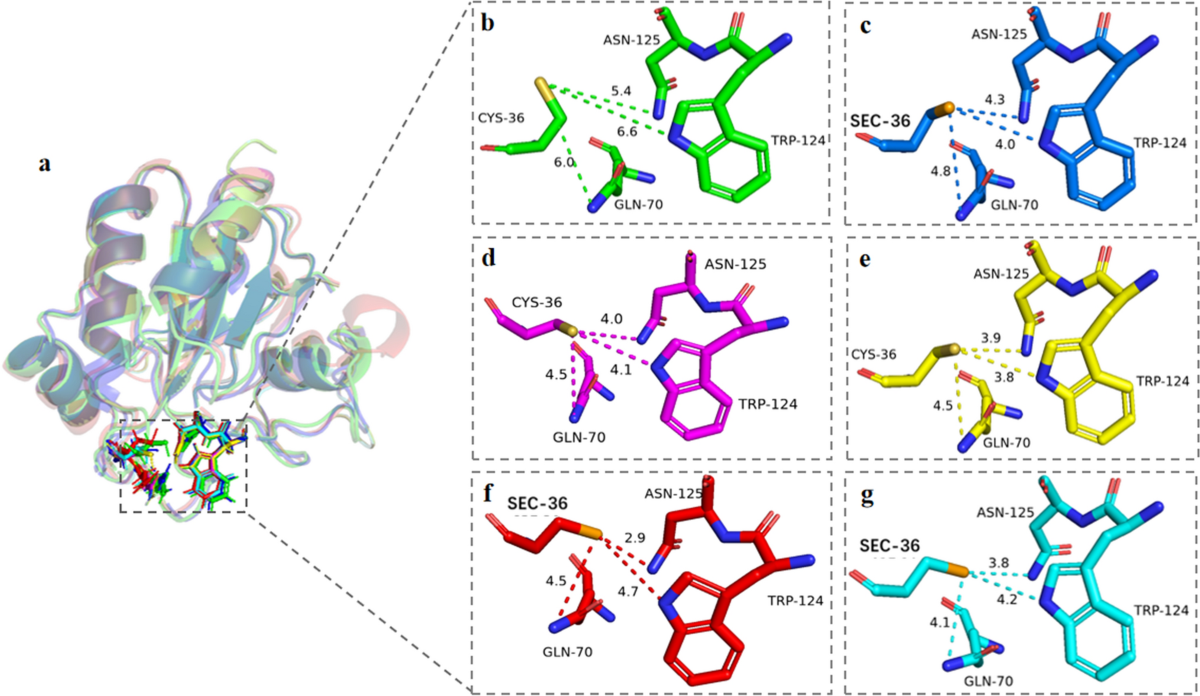 glutathione pancreas Blockade of the trans-sulfuration pathway in acute pancreatitis due to  nitration of cystathionine β-synthase