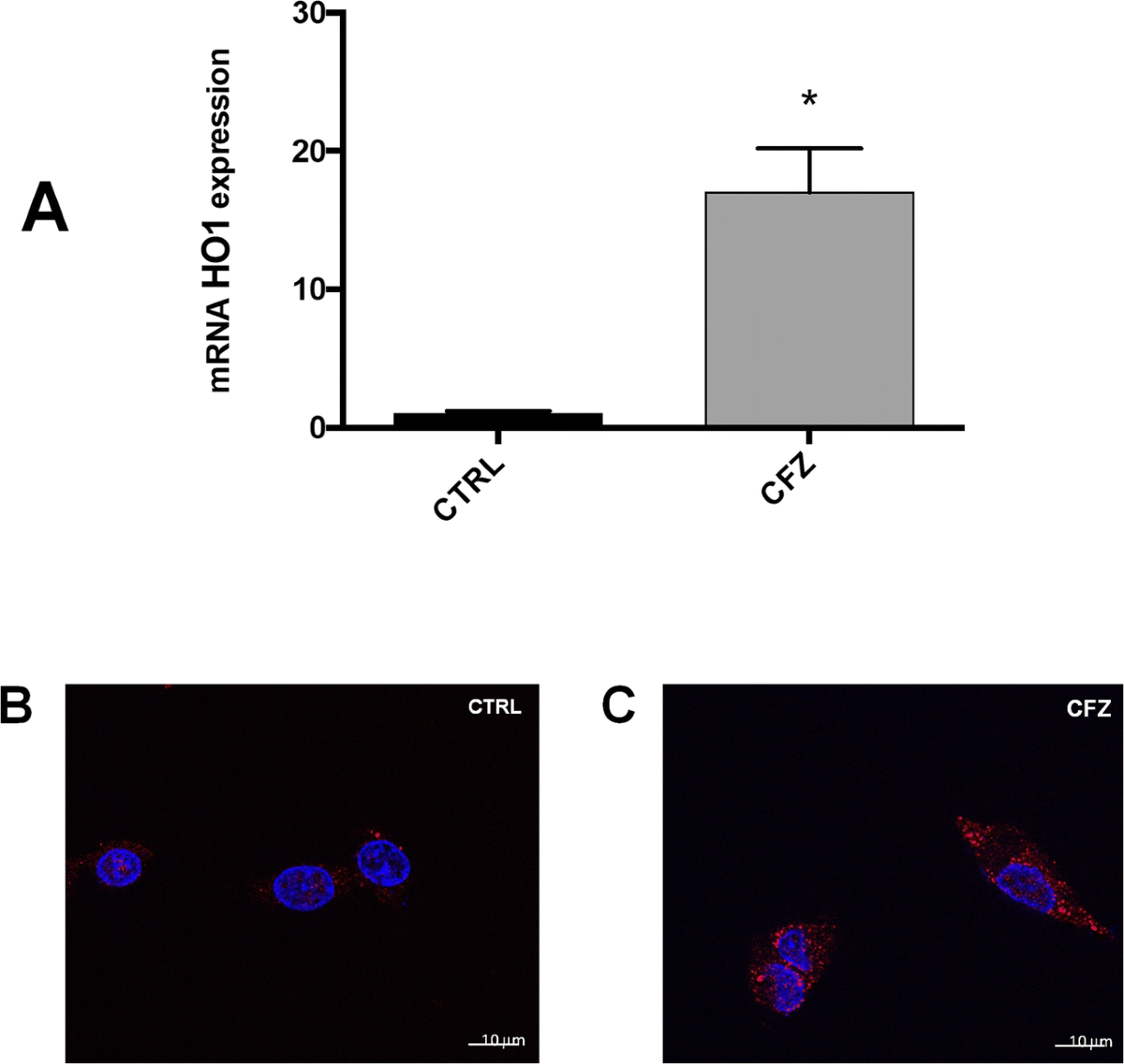 Pre Serata a Catania: Estate e Musica al Afrobar | TikTok, image size:1200x1136