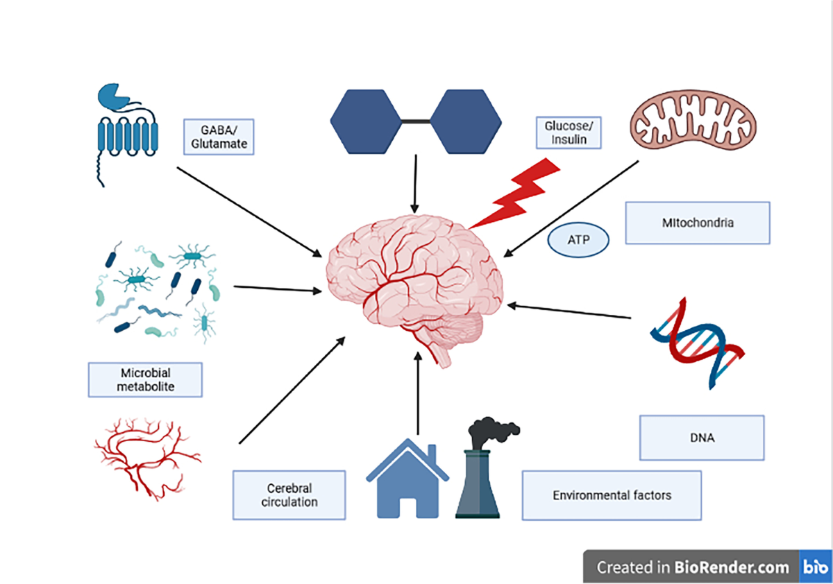 he effects of stress and aging on glutathione metabolism Selected Biomarkers Oxidative Energy Disorders in Neurological Diseases | Molecular Neurobiology Glutathione Brightening cream - Essential Soap Size:150 Veggie Capsules