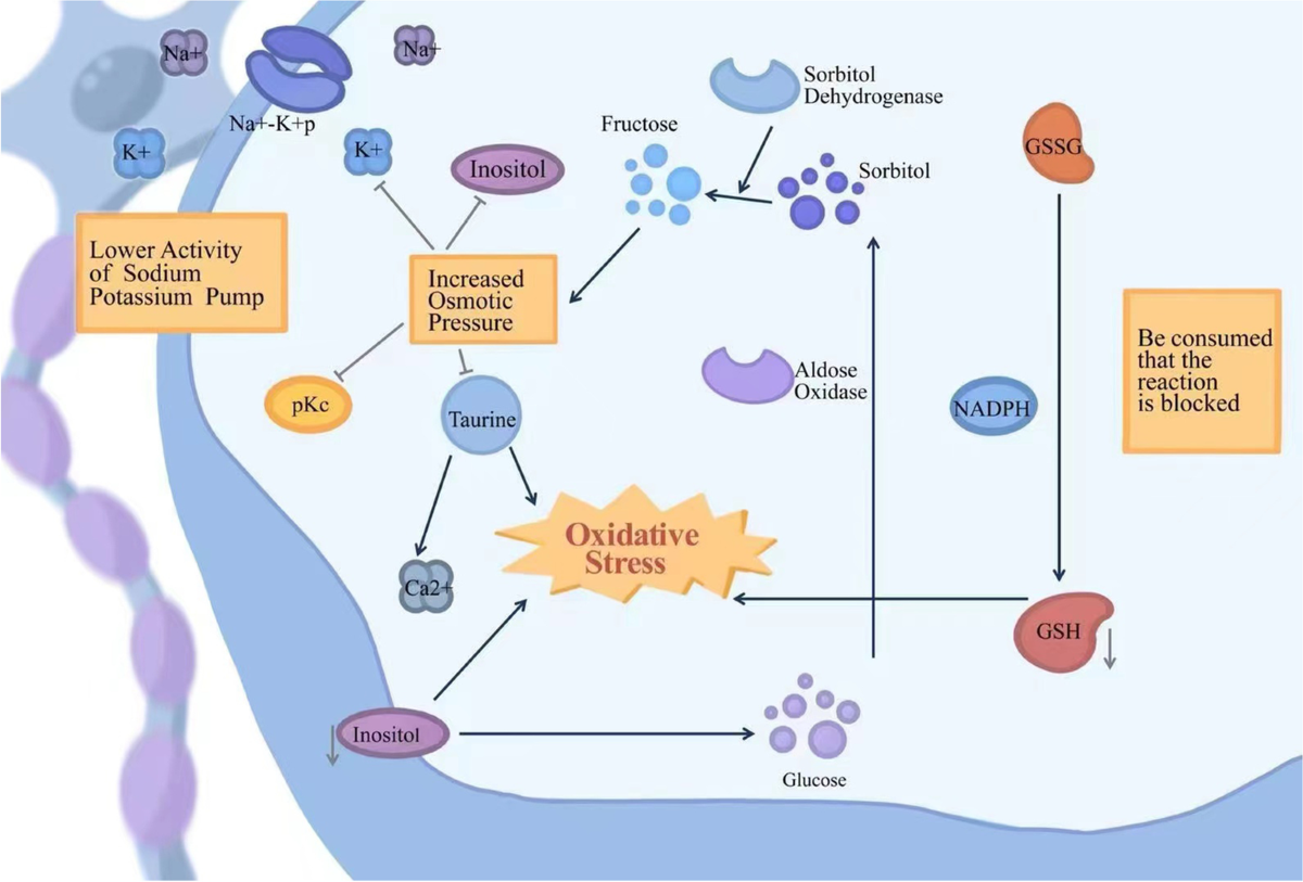 glutathione iv for parkinsons disease Glutathione IV Therapy Fort Lauderdale FL