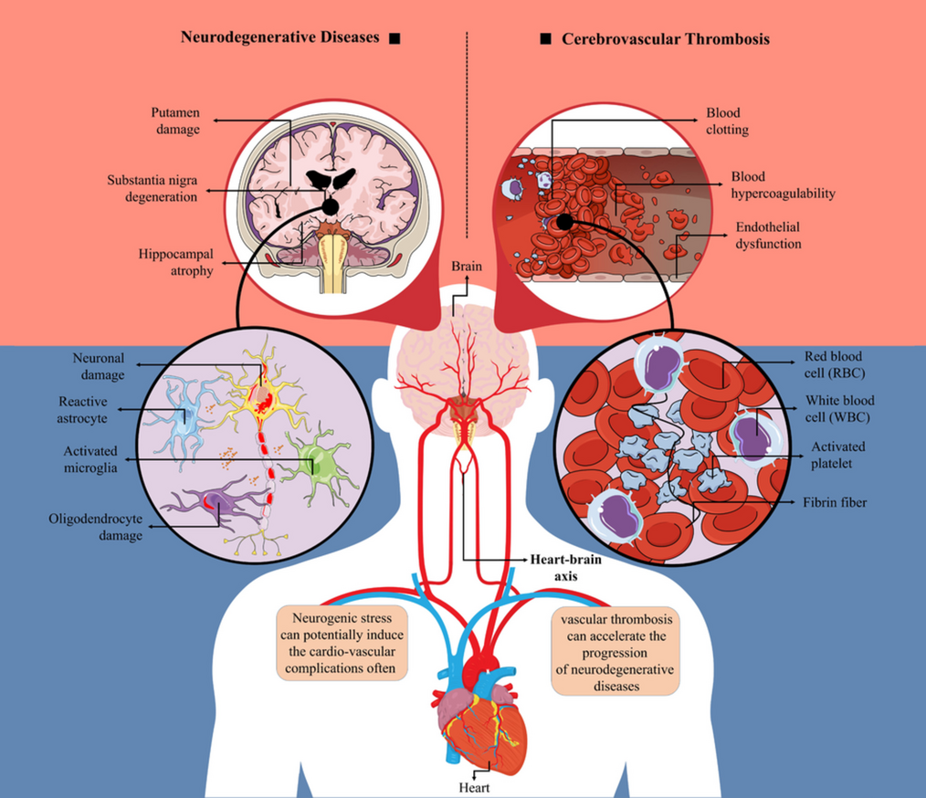 what are the benefits of taking liposomal glutathione Liposomal Glutathione Supplement