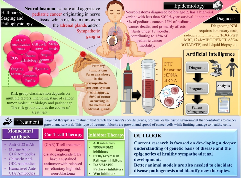 Emerging Trends in Neuroblastoma ...
