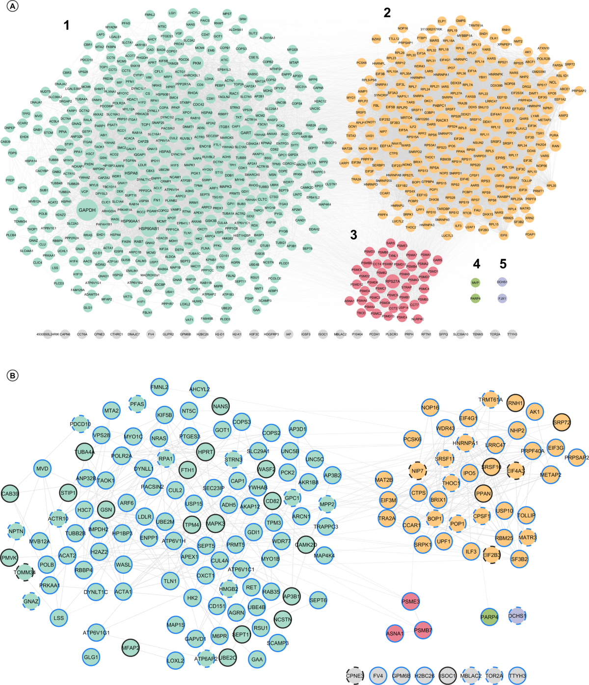 Aβ Modulates Extracellular Vesicles Proteomic Profile Impacting  Phosphorylation Mediators | Molecular Neurobiology