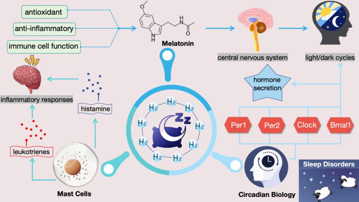 does iv glutathione cause histamine release Hydrogen as a Potential Modulator: Implications for Mast Cell-Sleep-Wake Rhythm-Melatonin Interactions in Sleep Disorders | Molecular Neurobiology Glutathione Facts! characteristic:Made in Canada Flavor:Blood Orange