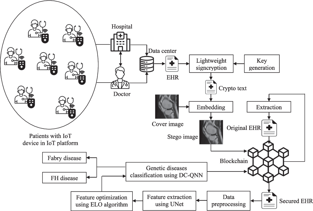 StegoSec-EHR: A blockchain-enabled IoTFramework for secure HER sharing via  steganography in genetic disease diagnosis | Peer-to-Peer Networking and  Applications