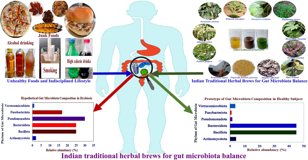 glutathione inhaler amazon Relevance of Indian Traditional Herbal Brews for Gut Microbiota Balance | Indian Journal of Microbiology rc-member-months-4-6|price:member-discount|sub:5.0:percent|otp:5.0:percent