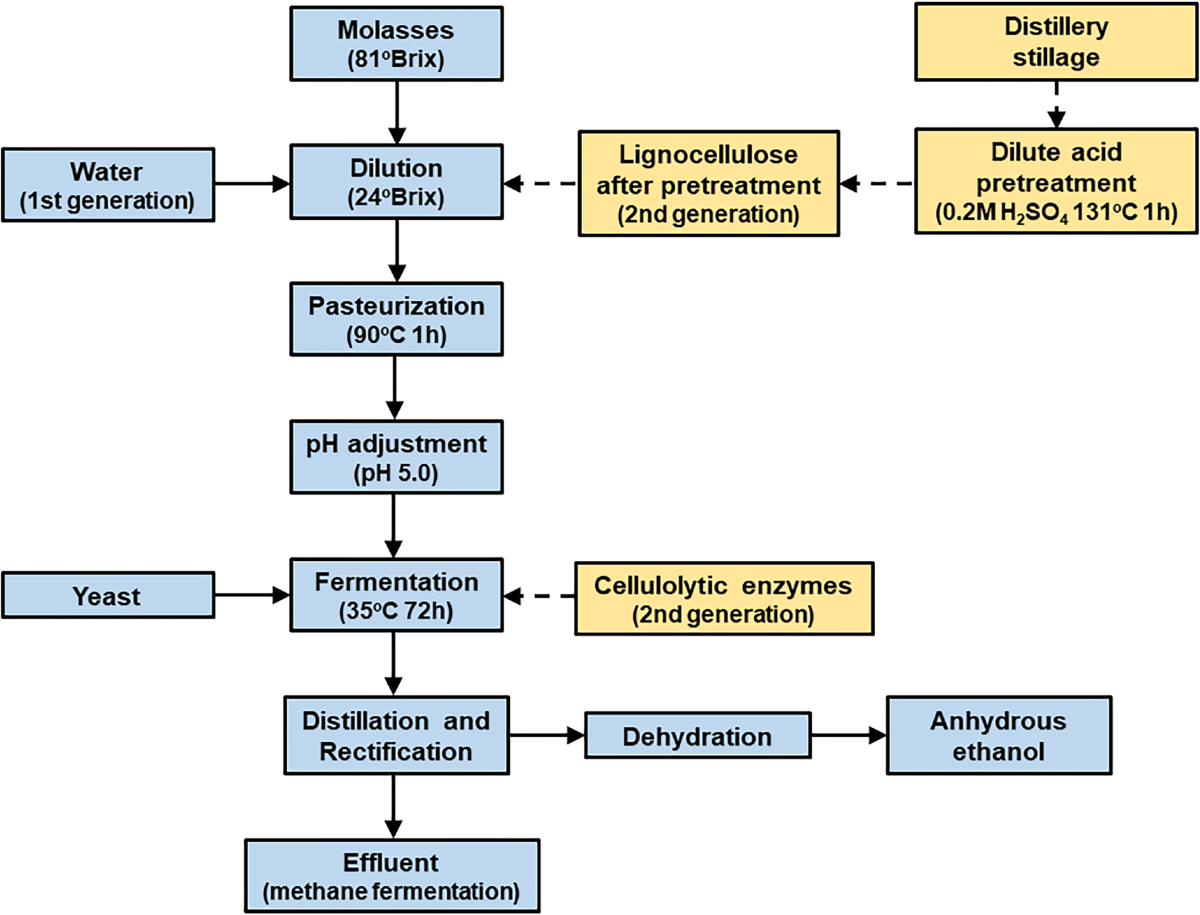 Integration of First- and Second-generation Bioethanol Production ...