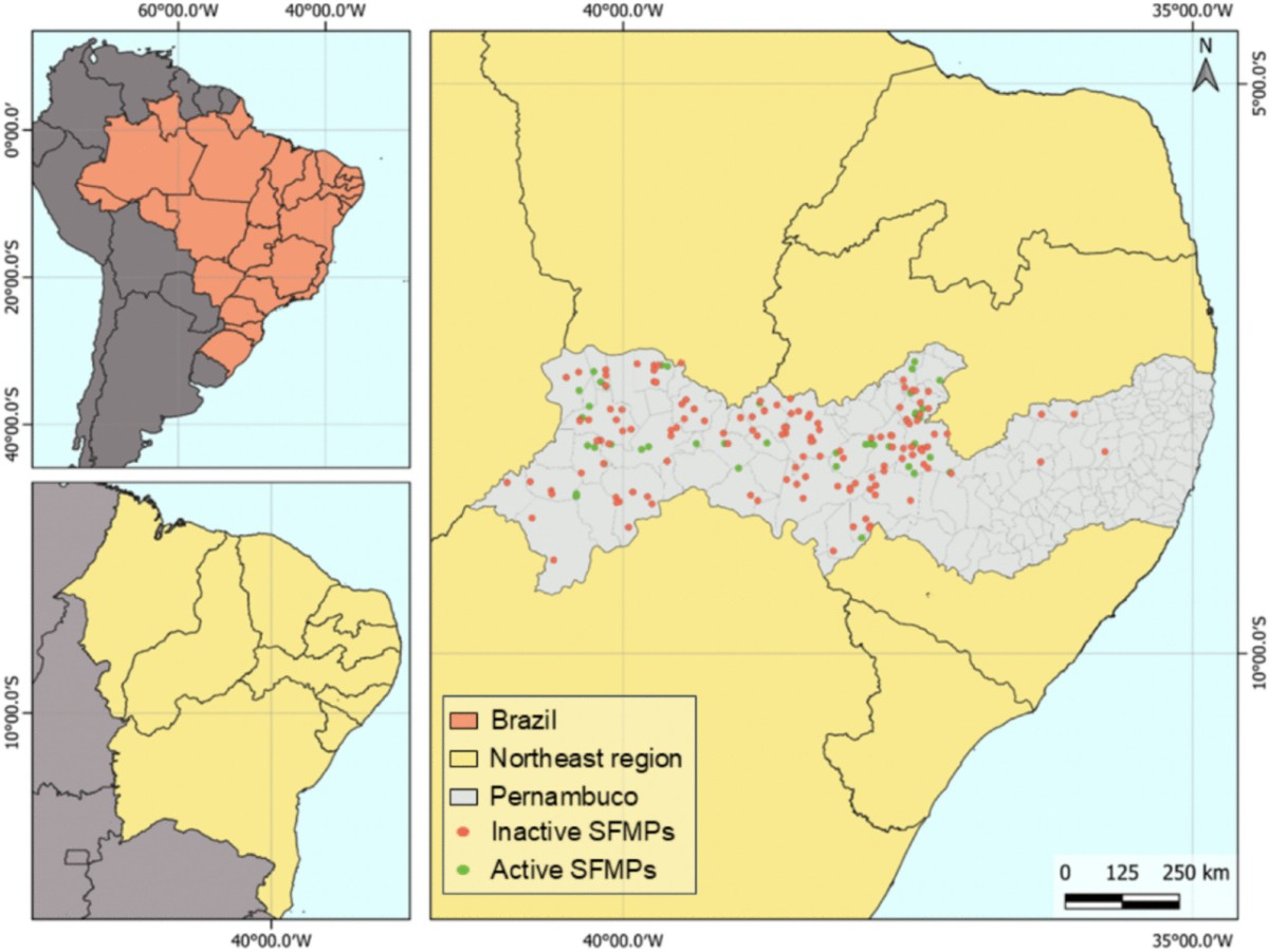 Economic Analysis of Firewood Production under Uncertainty in Sustainable  Forest Management Plans in the Brazilian Semi-Arid Region | BioEnergy  Research