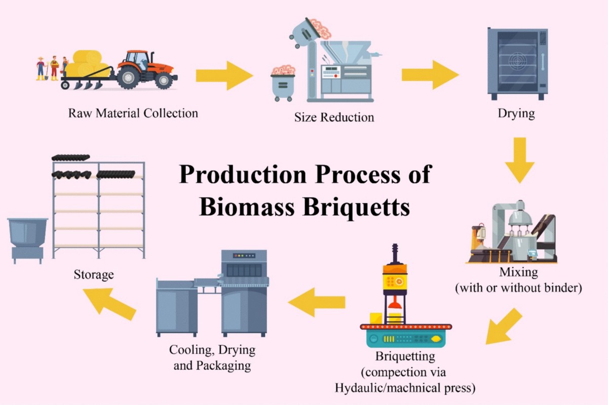 Biomass Briquettes for Sustainable Energy: Exploring Material 