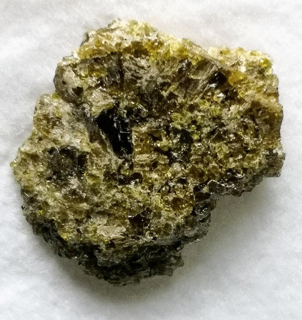 ECTRIMS 2024 – Oral Presentations, 2024, image size:967x1025