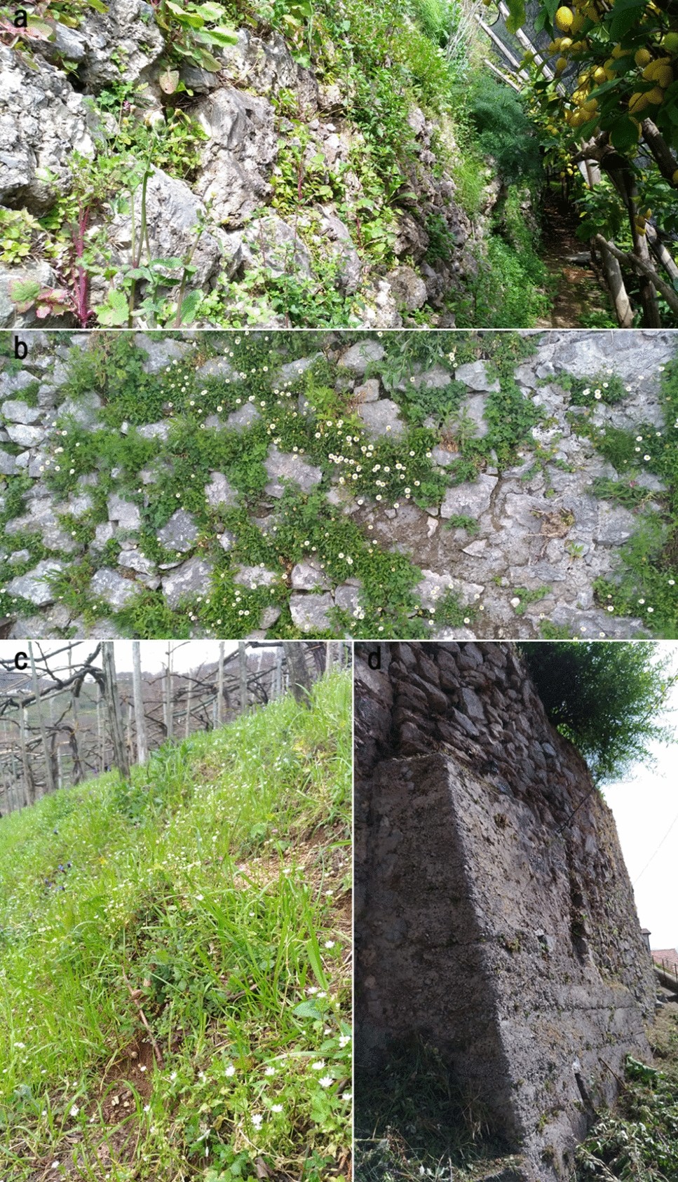 Venice Boat Rentals 2026 ⛵- 30 Boats from $100/Hour | Getmyboat, image size:967x1686