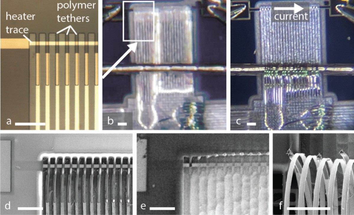 Thermally switchable tethers for rapid release of strained microstructures  | Journal of Micro and Bio Robotics