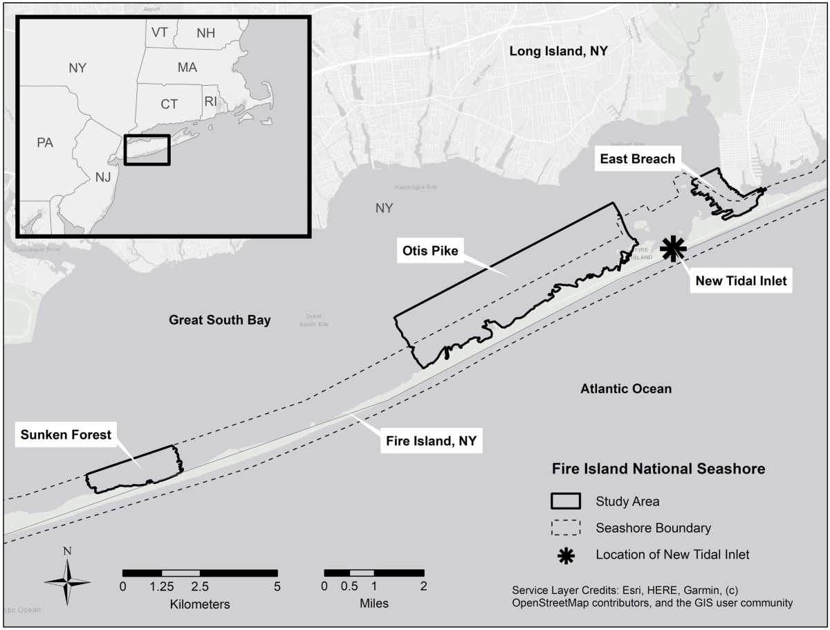 Post-Hurricane Sandy Benthic Habitat Mapping at Fire Island National  Seashore, New York, USA, Utilizing the Coastal and Marine Ecological  Classification Standard (CMECS) | Estuaries and Coasts