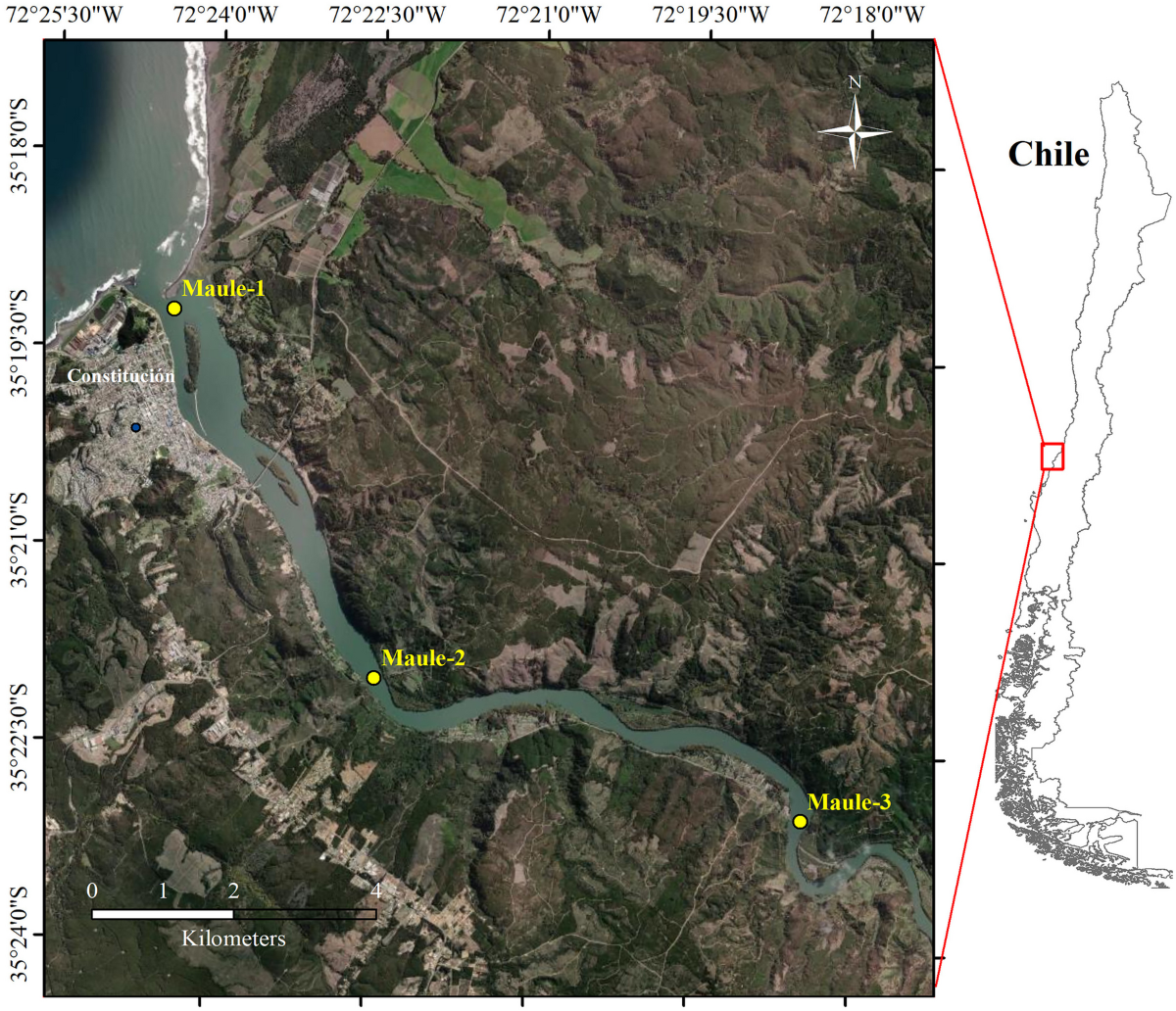 Influence of the Hydrological Variability on Water Quality and Benthic  Macroinvertebrates in a Chilean Estuary During a Megadrought | Estuaries  and Coasts