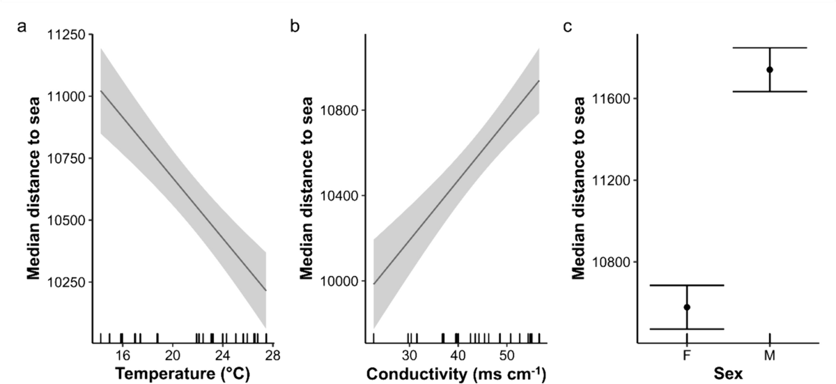 Blue swimmer crabs studied at all stages of life in Cockburn Sound surveys  – Western Australian Marine Science Institution