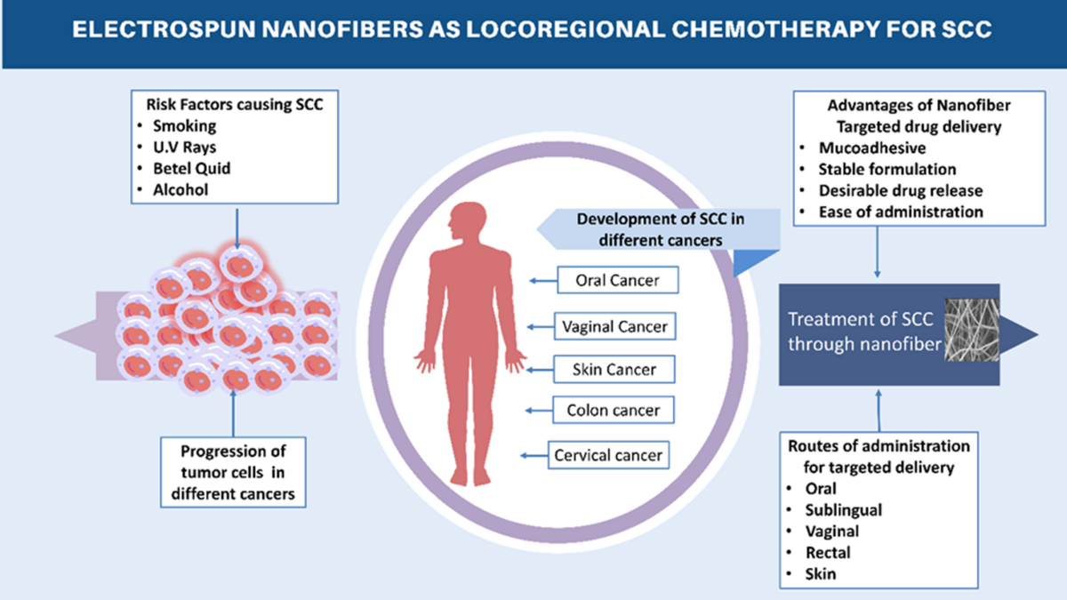 Electrospun Nanofibers Based Locoregional Chemotherapy Targeting Squamous Cell Carcinomas: Recent Investigation Through In Vitro and In Vivo Activity | Journal of Pharmaceutical Innovation