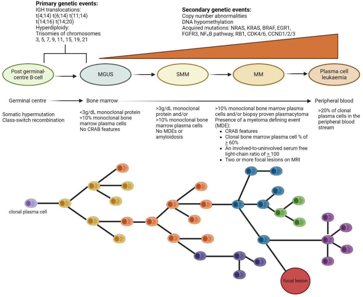 Approaches To Managing Relapsed Myeloma: Switching Drug Class or  Retreatment With Same Drug Class? | Indian Journal of Hematology and Blood  Transfusion | Springer Nature Link