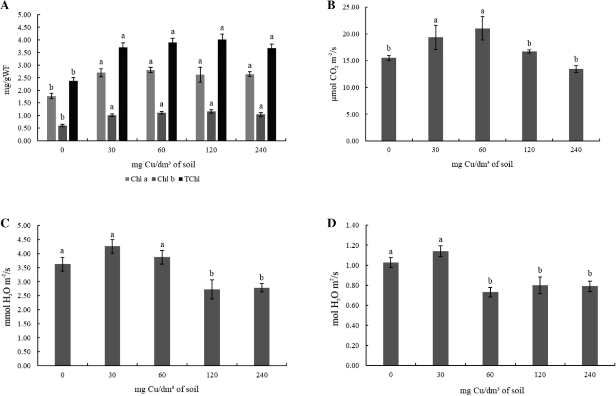 Response of Cajanus cajan to excess copper in the soil: tolerance and  biomass production | Physiology and Molecular Biology of Plants