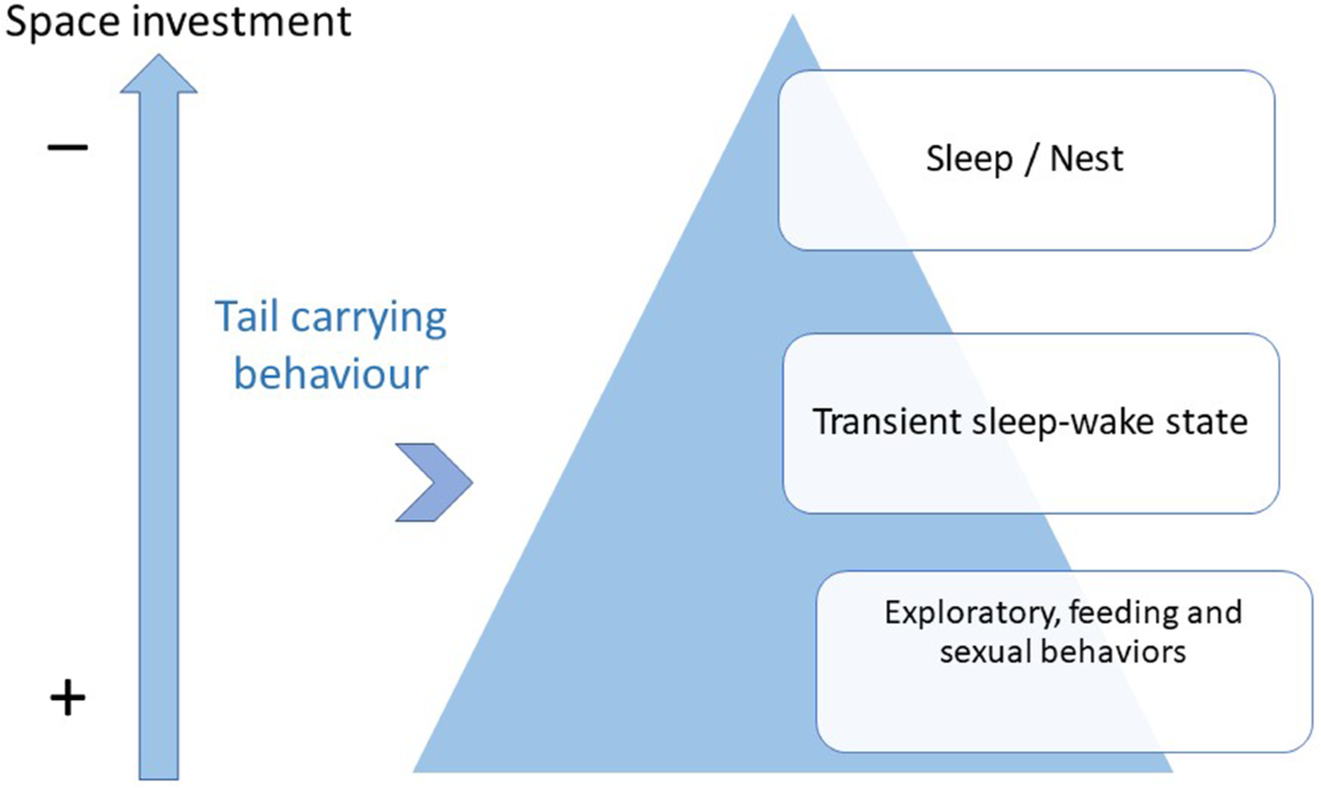 Descriptive Phenomenology as an Alternative to Prevent the Theory-Ladenness  of Observation in the Study of Animal Behavior: Opening towards an  Etho-Phenomenology | Biosemiotics