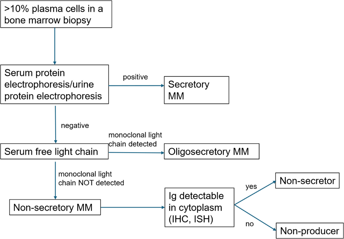 Where are the immunoglobulins? A review of non-secretory multiple myeloma |  Journal of Hematopathology | Springer Nature Link