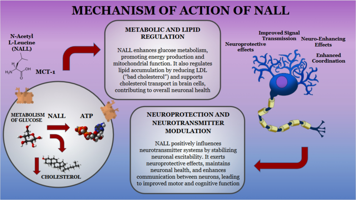 can glutathione cause diarrhea N-acetyl-L-leucine in Neurological Disorders: Mechanisms, Evidence, and Therapeutic Perspectives | The Cerebellum Cagrilintide For Sale (10 Skin Support Program:12 Week Regenerative Program