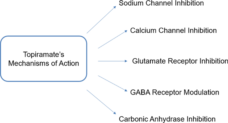 can you increase semaglutide faster Stopping Semaglutide: How to Prevent Rebound Weight Gain